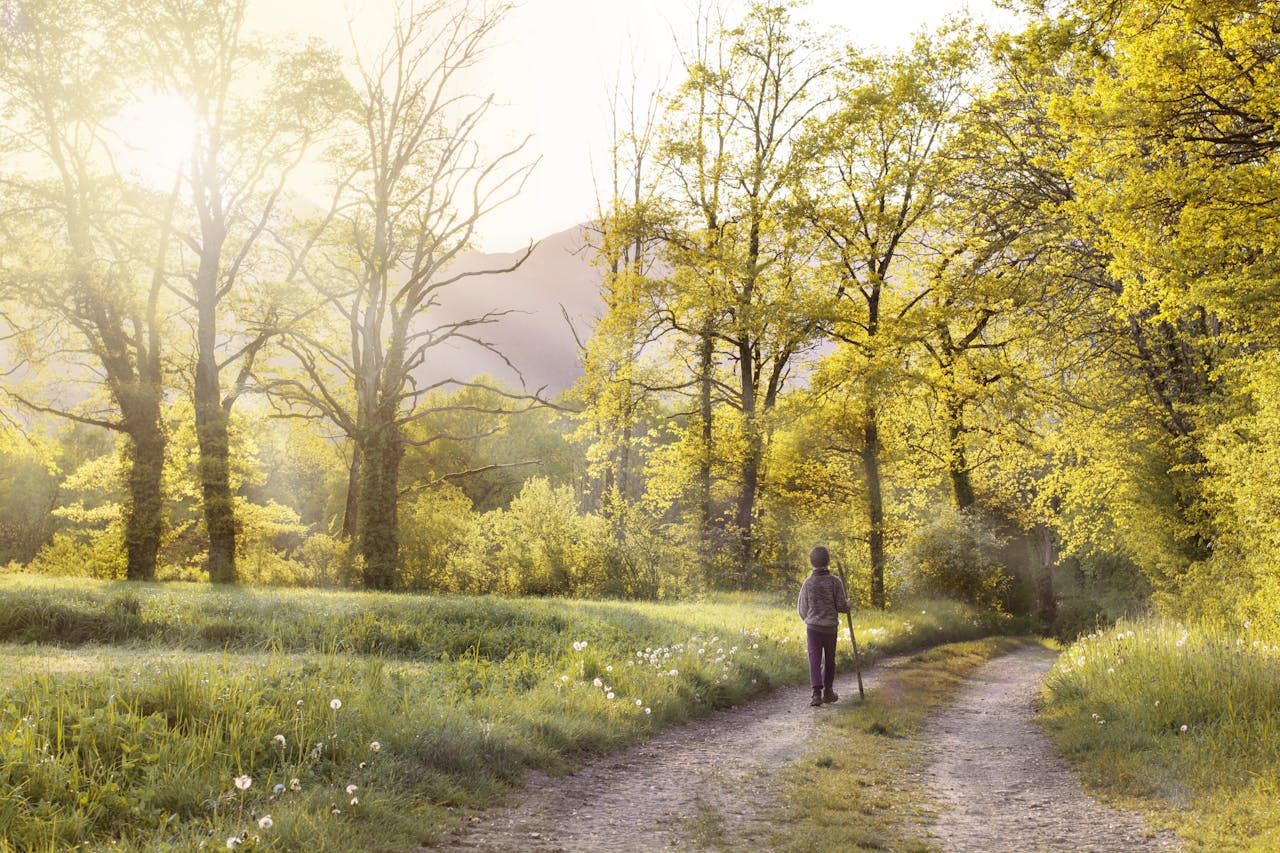Photo showing a lady walking in the forest