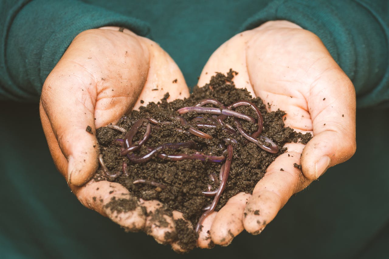 composting at home