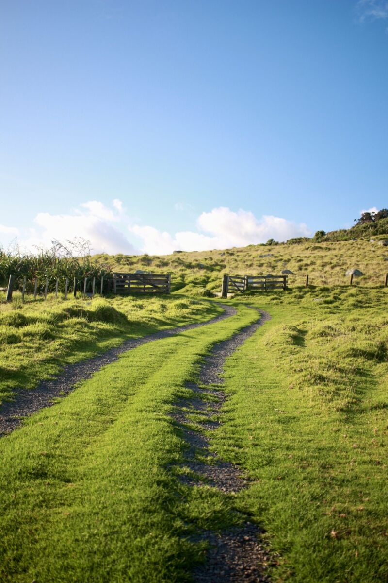 Reduce your carbon footprint